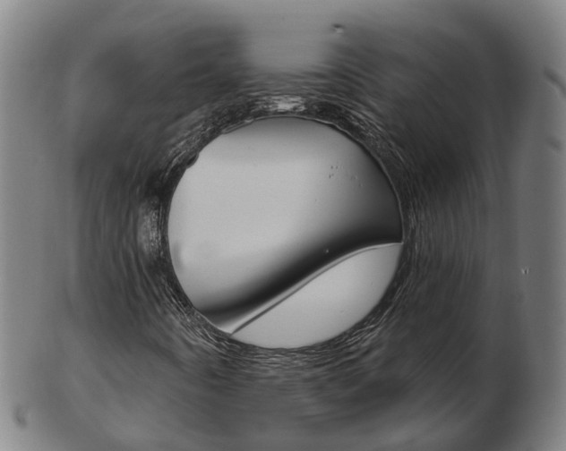 X0000103491442200809120940