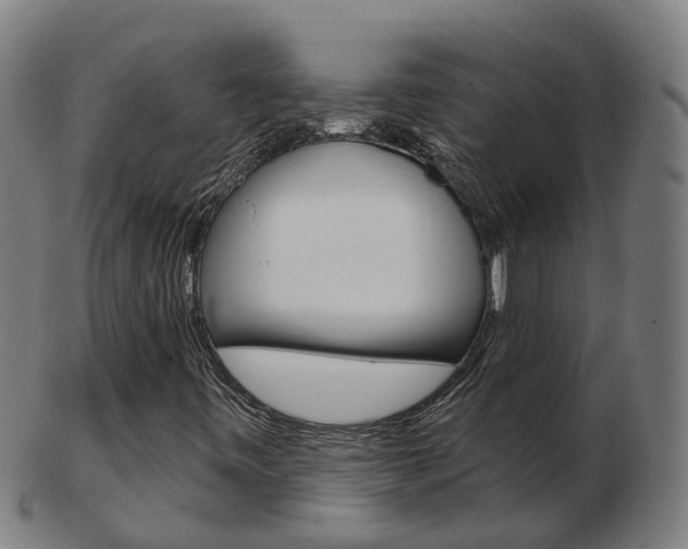 X0000103491443200809120940