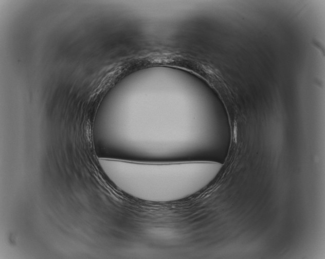 X0000103491444200809120940