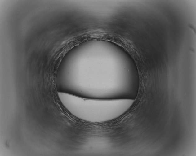 X0000103491445200809120940