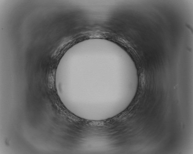 X0000103491446200809120940
