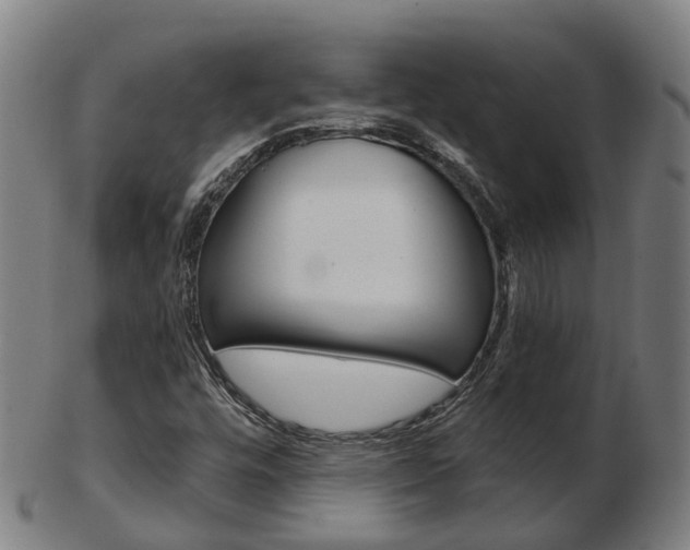 X0000103491448200809120940