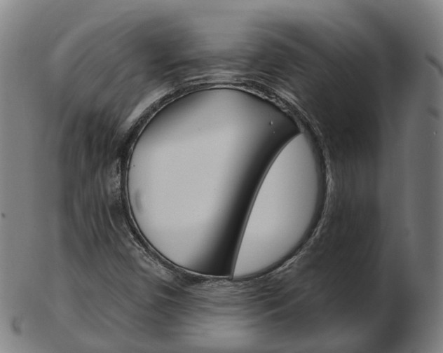 X0000103491450200809120940