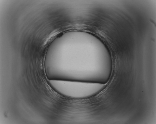 X0000103491451200809120940