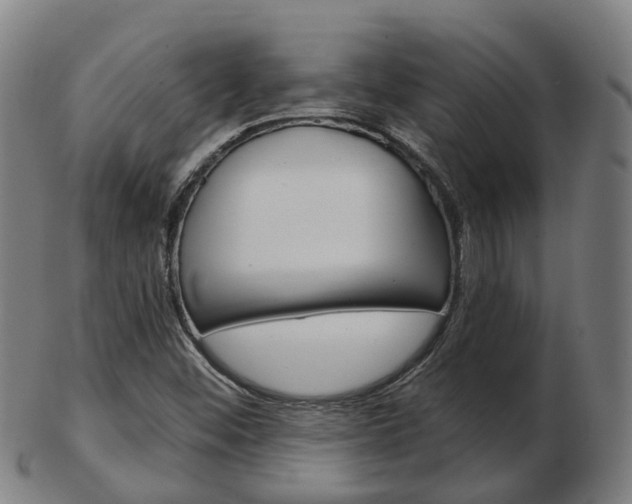 X0000103491452200809120940