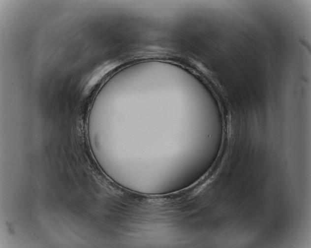 X0000103491453200809120940