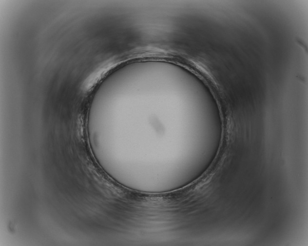 X0000103491455200809120940