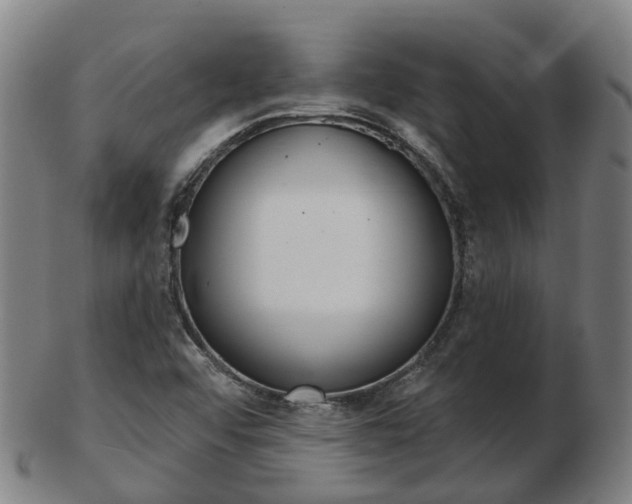 X0000103491456200809120940