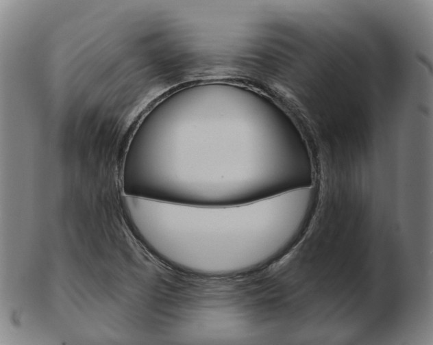 X0000103491457200809120940