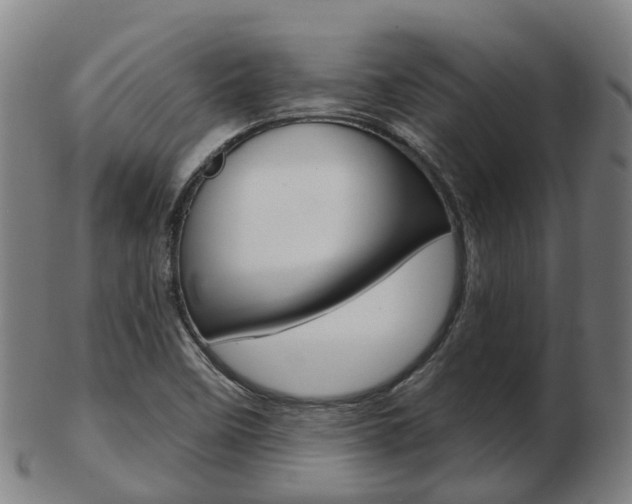 X0000103491458200809120940
