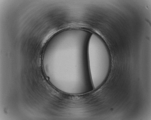 X0000103491459200809120940