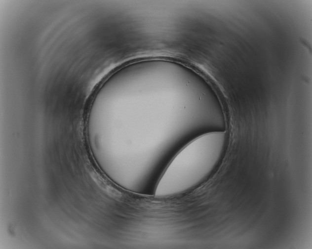 X0000103491460200809120940