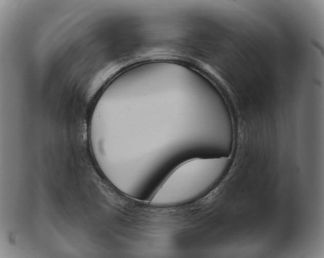 X0000103491461200809120940