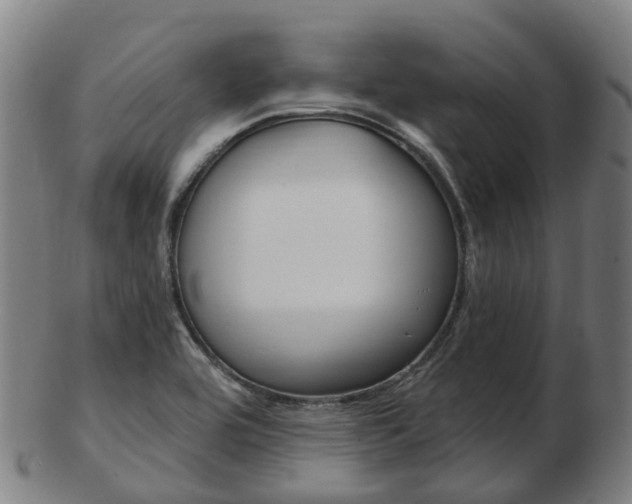 X0000103491464200809120940