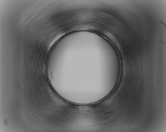 X0000103491465200809120940