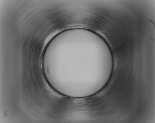 X0000103491466200809120940