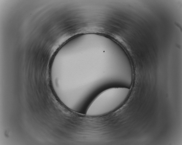 X0000103491469200809120940