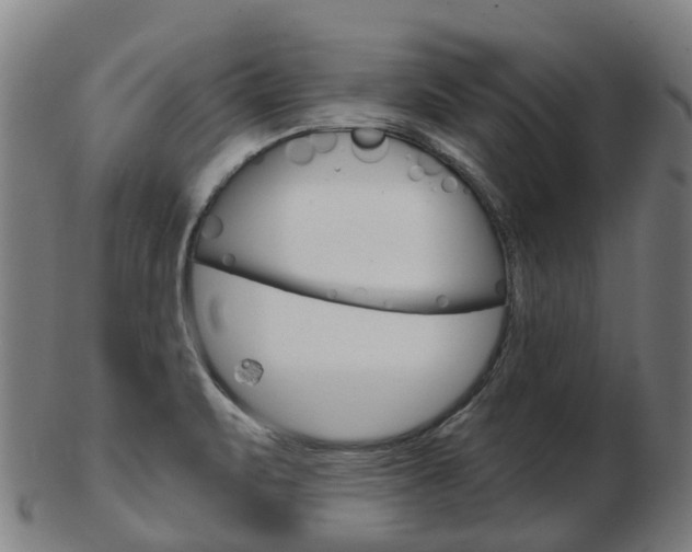 X0000103491471200809120940