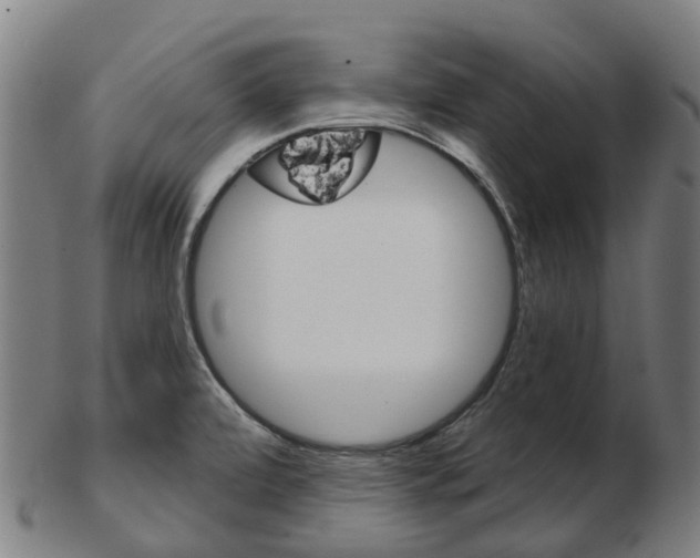 X0000103491472200809120940