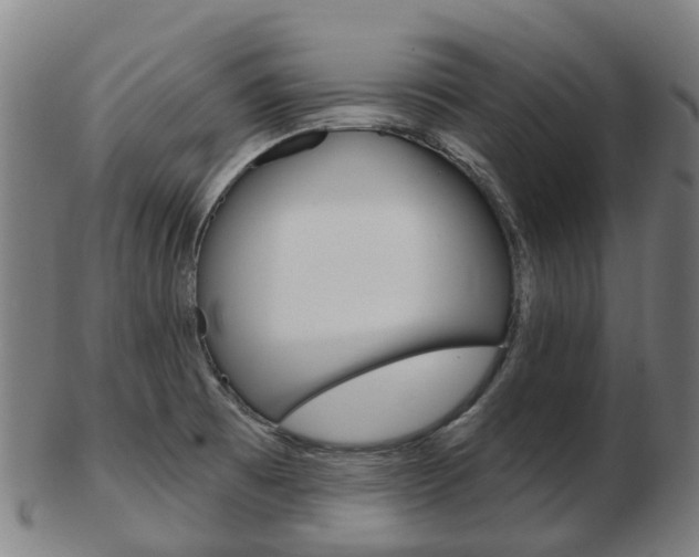 X0000103491473200809120939