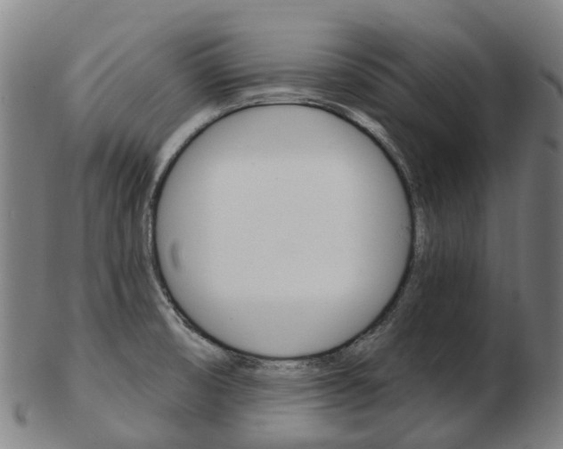 X0000103491474200809120939