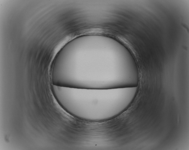 X0000103491475200809120939