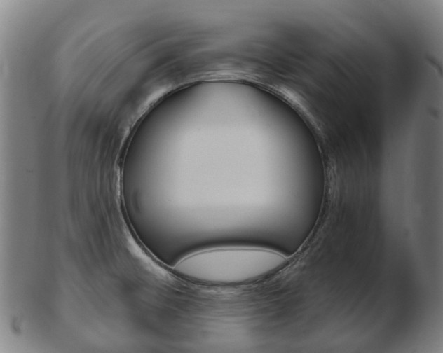 X0000103491476200809120939