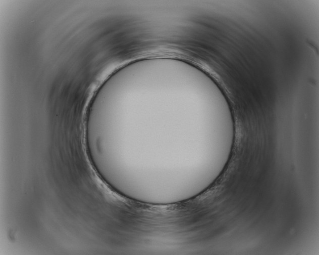 X0000103491478200809120939