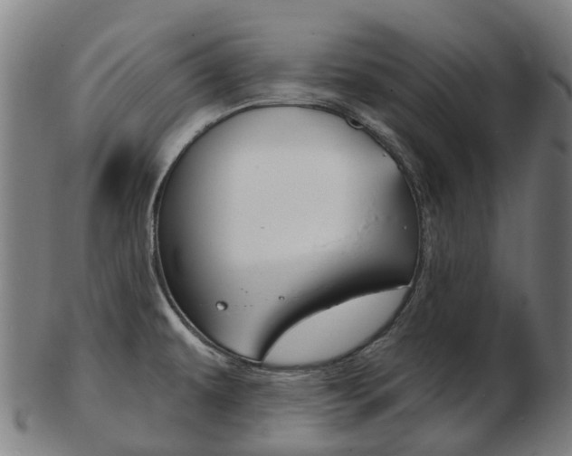 X0000103491479200809120939