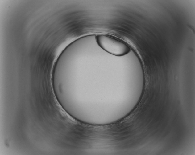 X0000103491480200809120939