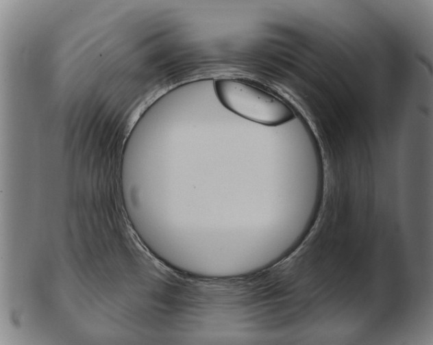 X0000103491481200809120939