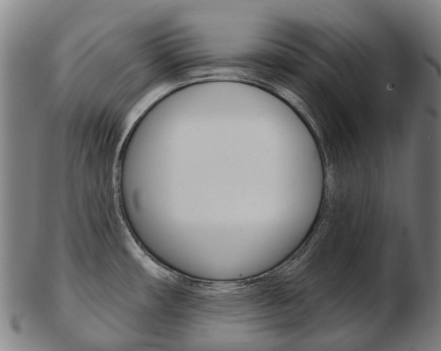 X0000103491482200809120939