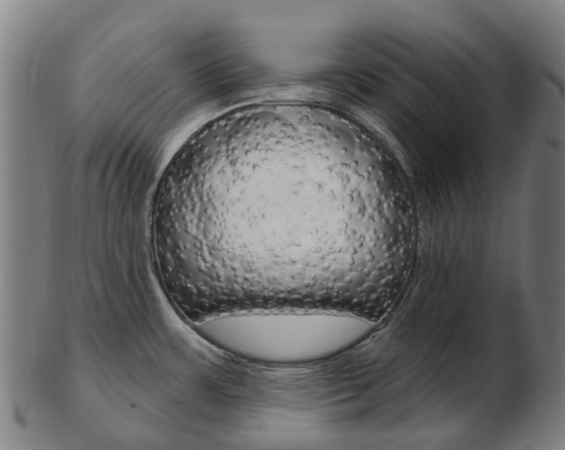 X0000103491483200809120939