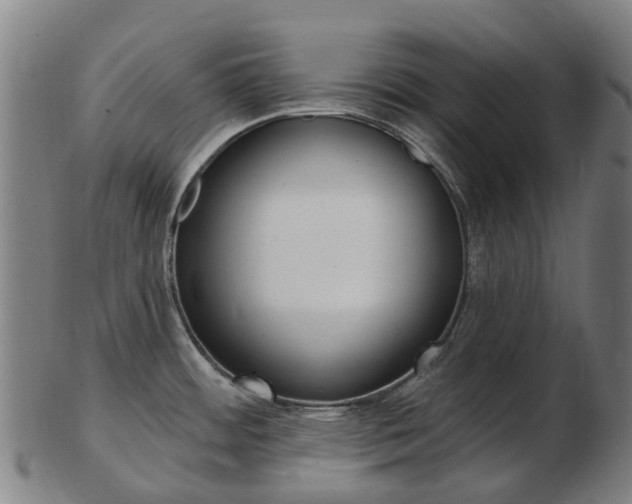 X0000103491484200809120939