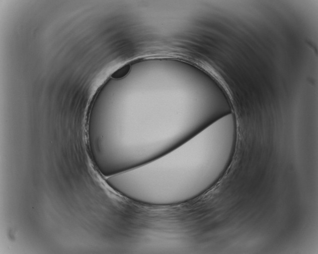 X0000103491485200809120939