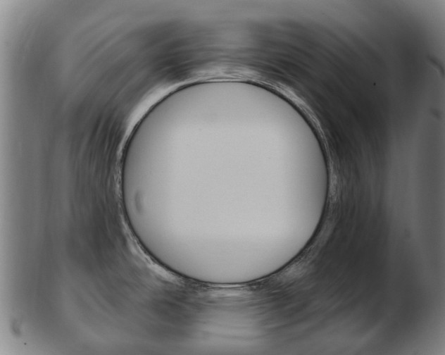 X0000103491486200809120939