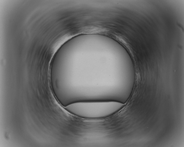 X0000103491487200809120939
