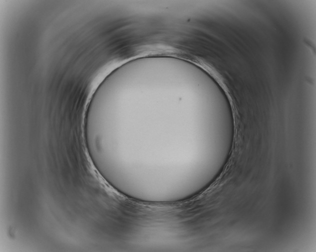 X0000103491488200809120939