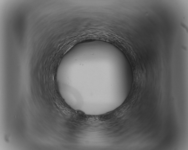 X0000103491489200809120938