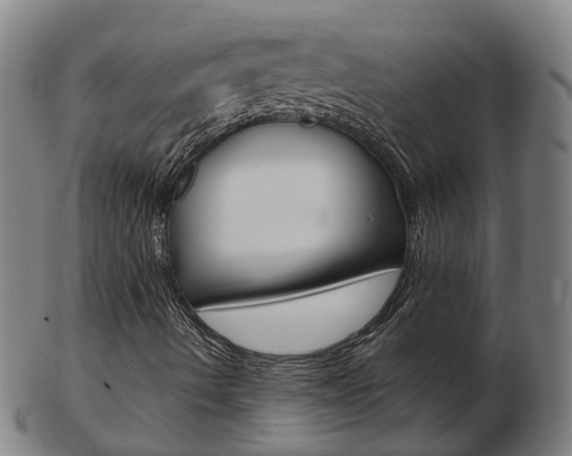 X0000103491490200809120938