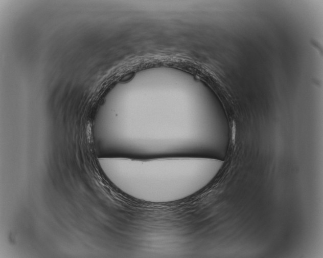 X0000103491492200809120938