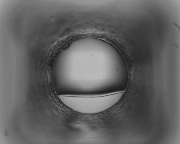 X0000103491493200809120939