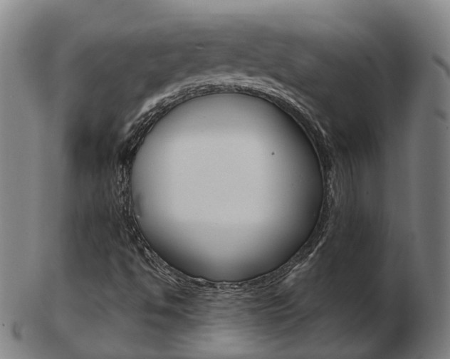 X0000103491494200809120939