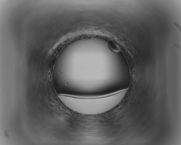 X0000103491495200809120939
