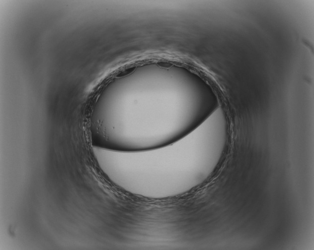 X0000103491496200809120939