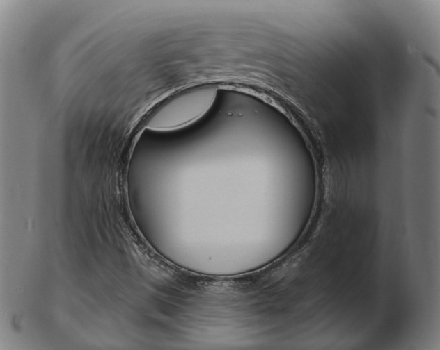 X0000103491497200809120939