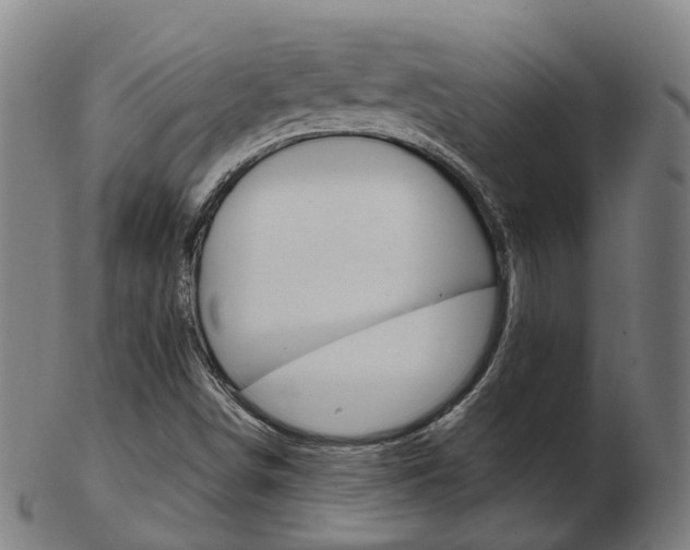 X0000103491498200809120939