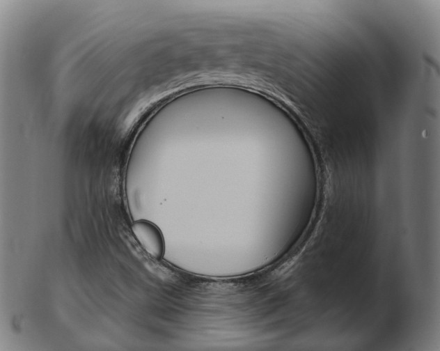 X0000103491499200809120939