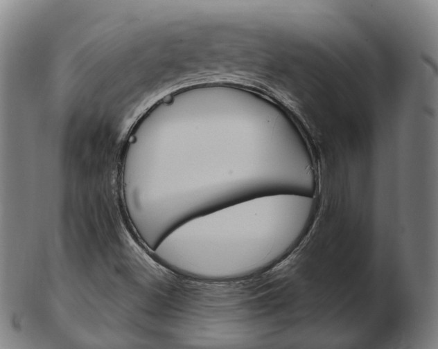 X0000103491500200809120939