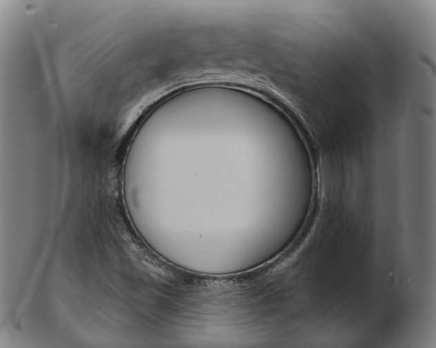 X0000103491501200809120939